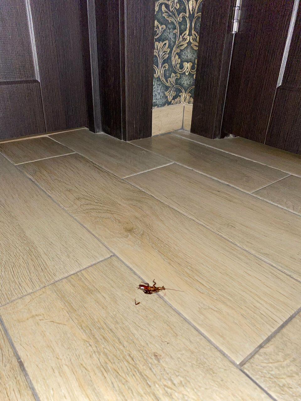 Гостиница Шоколад Новороссийск-131