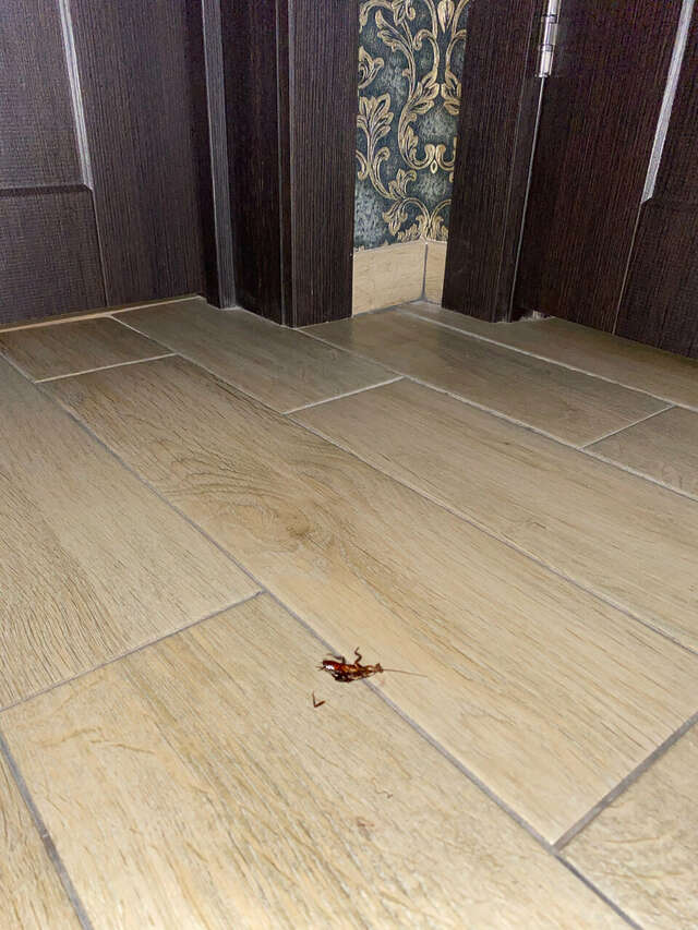 Гостиница Шоколад Новороссийск-130